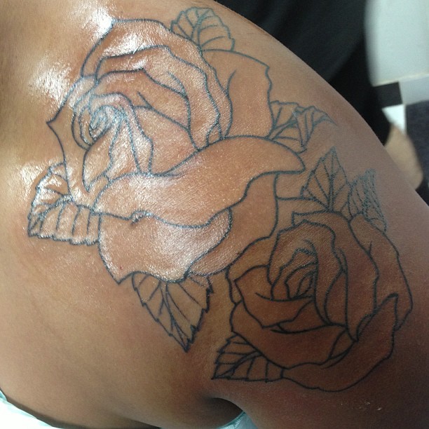 Rose outlines 
