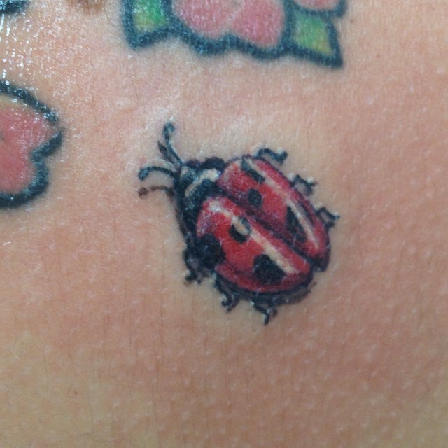 "Charlie" tiny ladybug