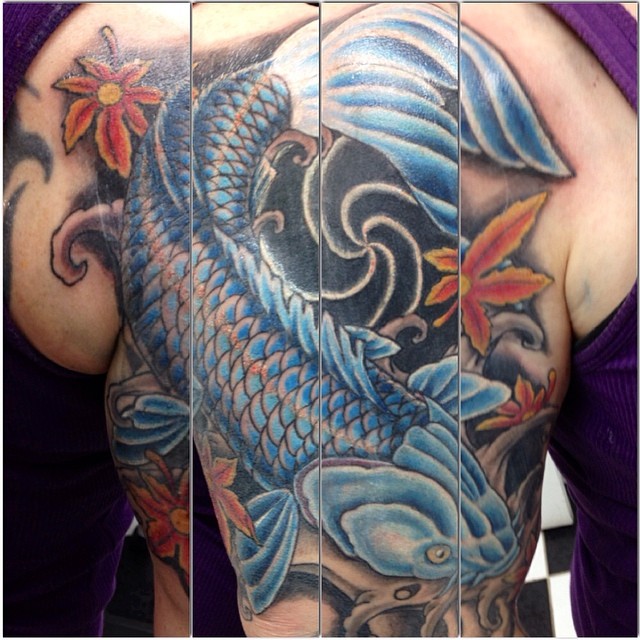 Koi cover up