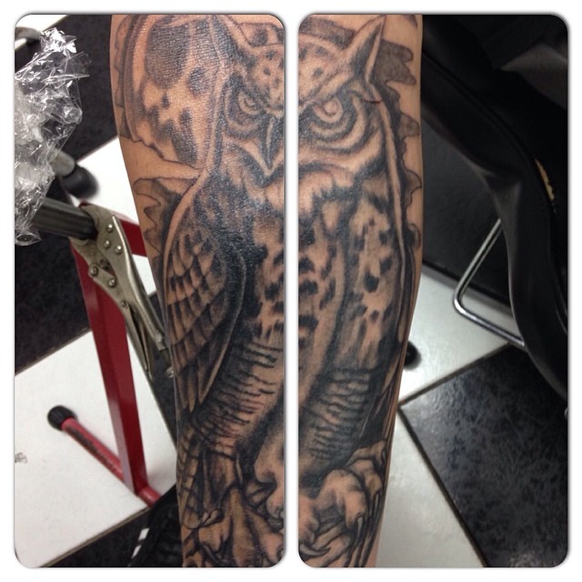 First session on owl