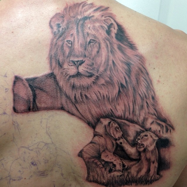 First session on lion family back