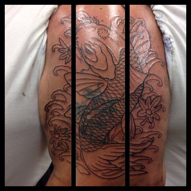 First session on Koi coverup