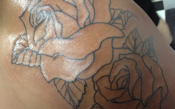 Rose outlines