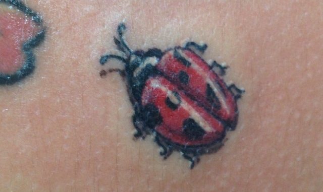 "Charlie" tiny ladybug