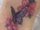 Tiny butterfly and cherry blossoms