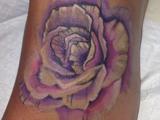 Watercolor rose on foot