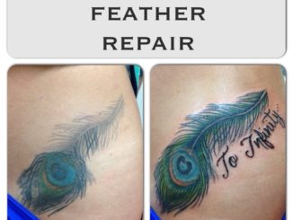 Peacock feather repair