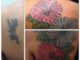Hibiscus cover up