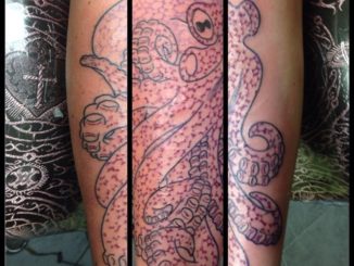 First session on octopus
