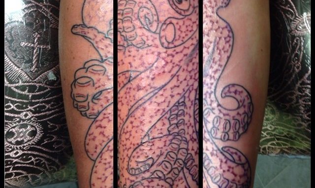 First session on octopus