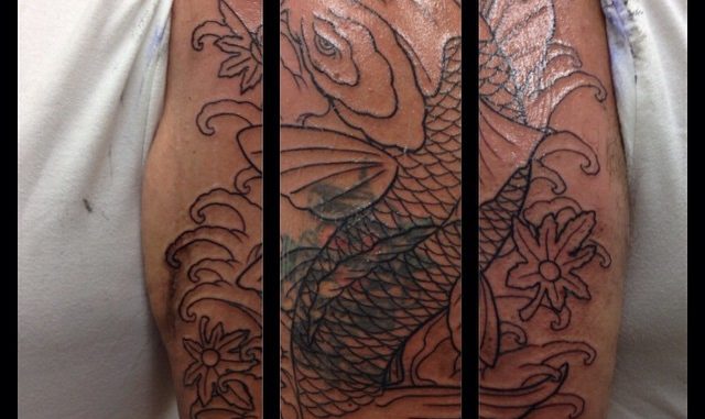 First session on Koi coverup
